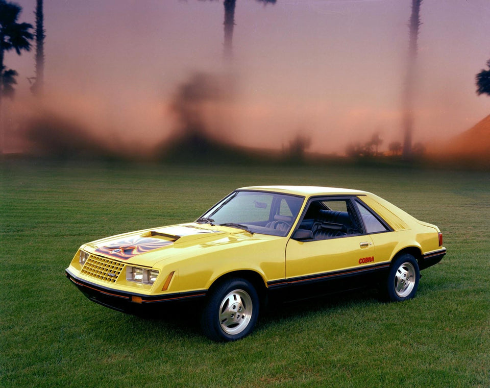 1979 Ford Mustang Cobra 0001-4672