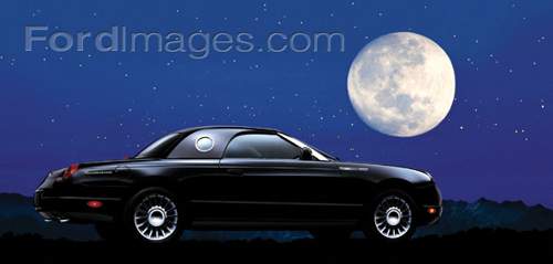 2005 Thunderbird
