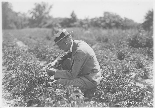 Henry Ford 0001-7622