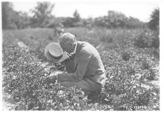 1919 Henry Ford 0001-7623