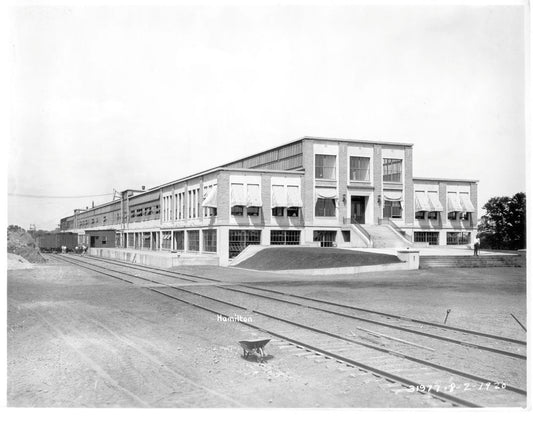 Hamilton Plant 0001-7641