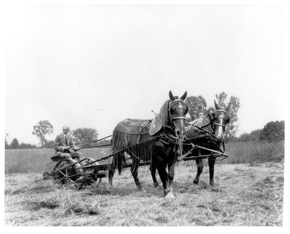  HenryFordHarvesting 1922  0001-7653