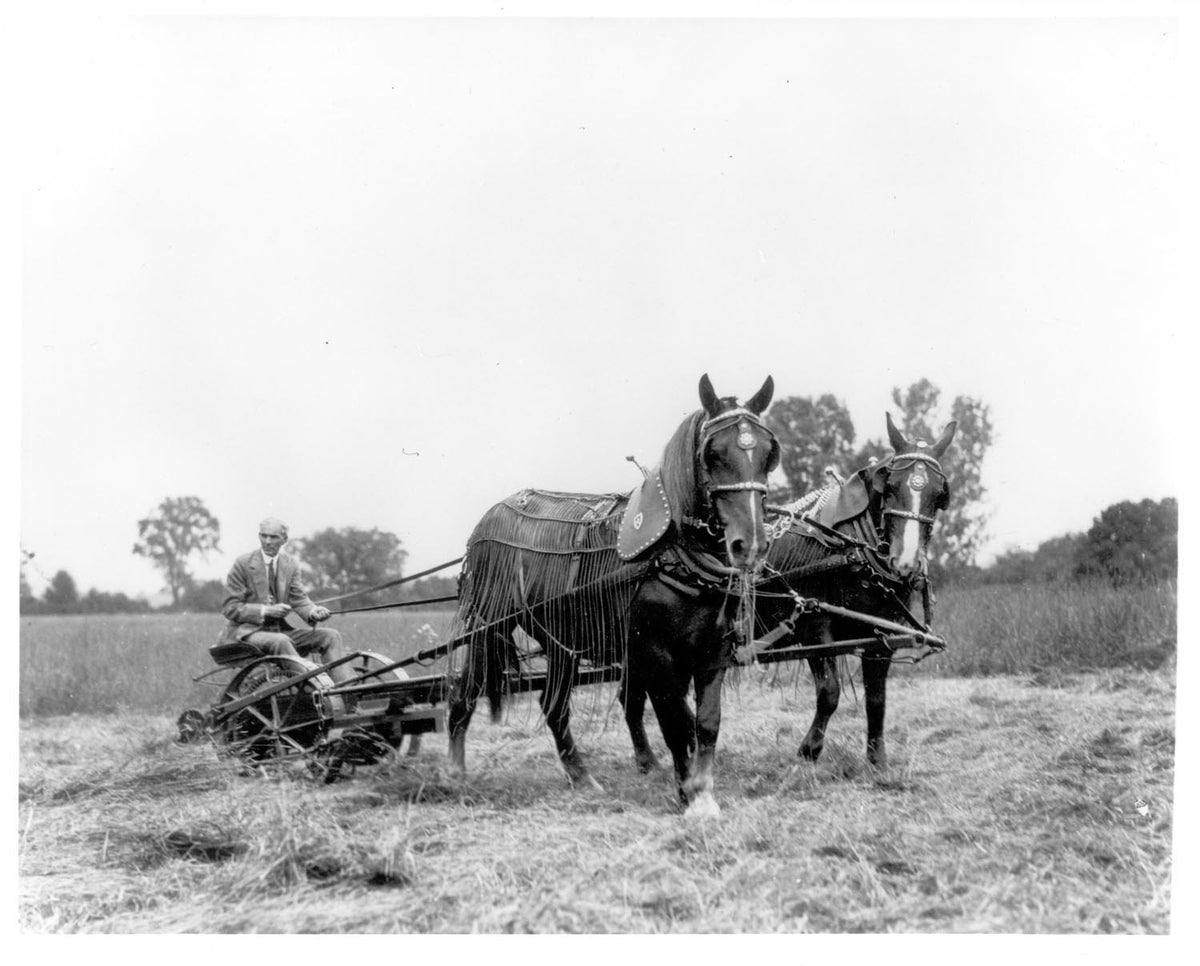 Ford Motor Company archival image documenting Henry Ford Harvesting 1922.