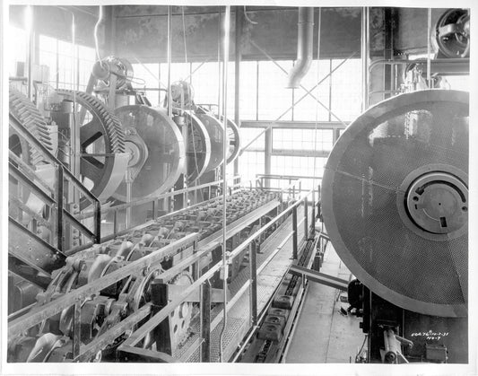 RougePlant 0001-7825