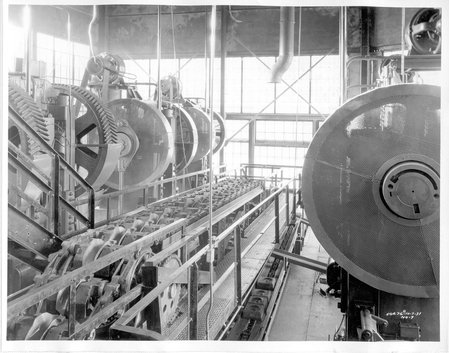 RougePlant 0001-7825