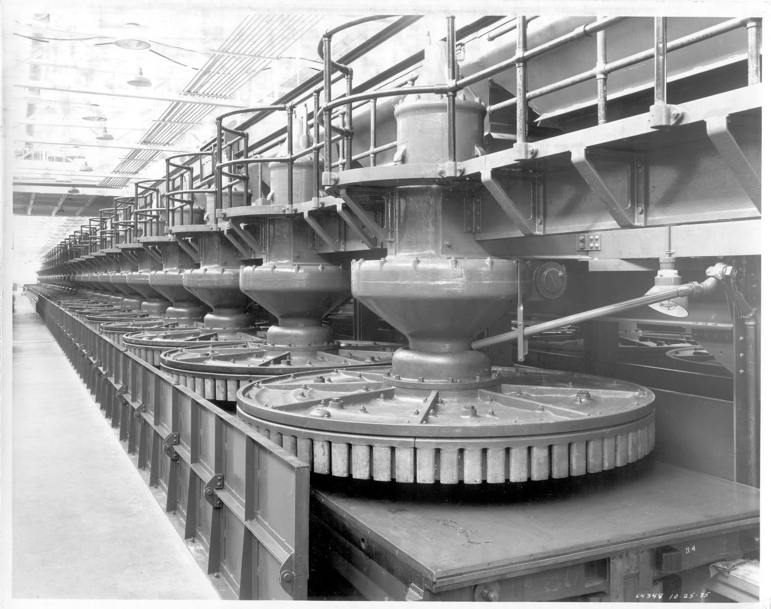 RougeGlassPlant 1935 0001-7955