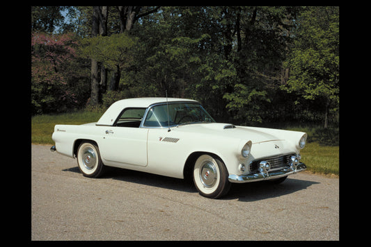 1955 Ford Thunderbird 0002-1442