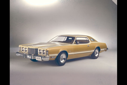 1976 Thunderbird 0002-1461