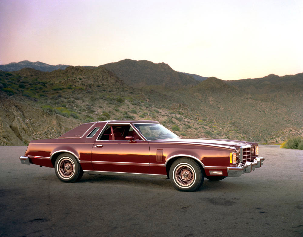 1979 Ford Thunderbird 0002-1483