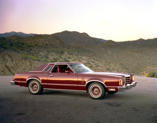 1979 Ford Thunderbird 0002-1483