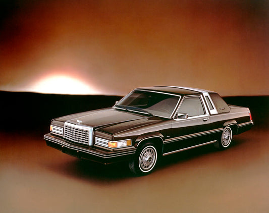 1982 Ford Thunderbird 0002-1484