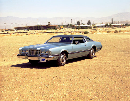 1973 Ford Thunderbird 0002-1490