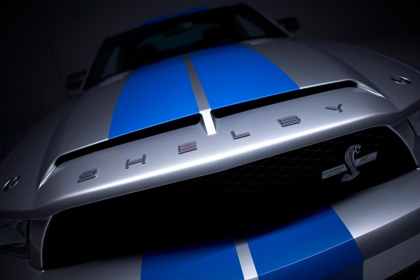 2008 Ford Shelby GT500KR Grill  0002-4277