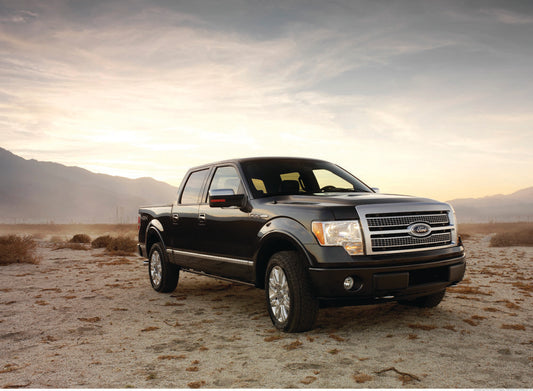 2009 F-150 Platinum Crew Cab 0003-0395