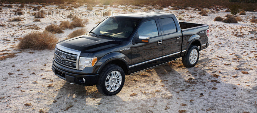2009 F-150 Platinum Crew Cab