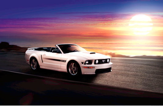 2009 Mustang GT 0003-4656