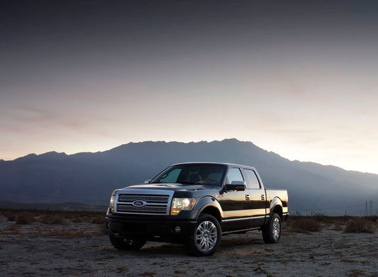 2009 Ford F-150 0003-4772