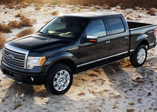 2009 Ford F-150 0003-4773