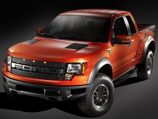 2010 F-150 Raptor 0003-4785