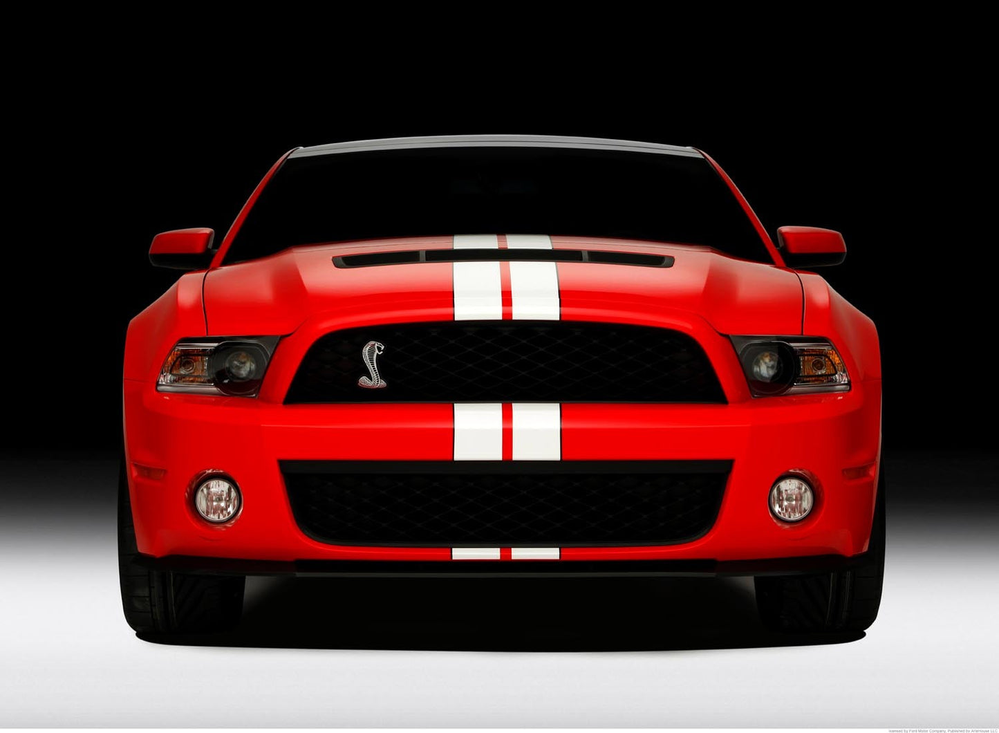 2011 Shelby GT500 0003-5738