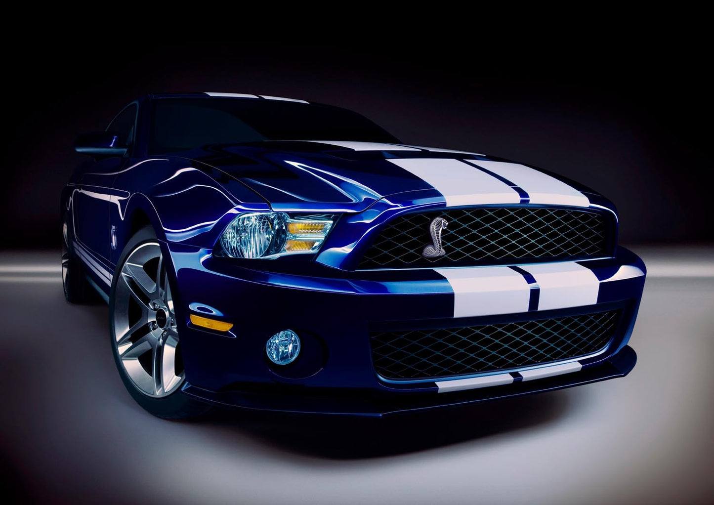2010 Shelby GT500 0003-5832