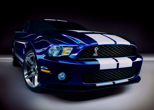 2010 Shelby GT500 0003-5832