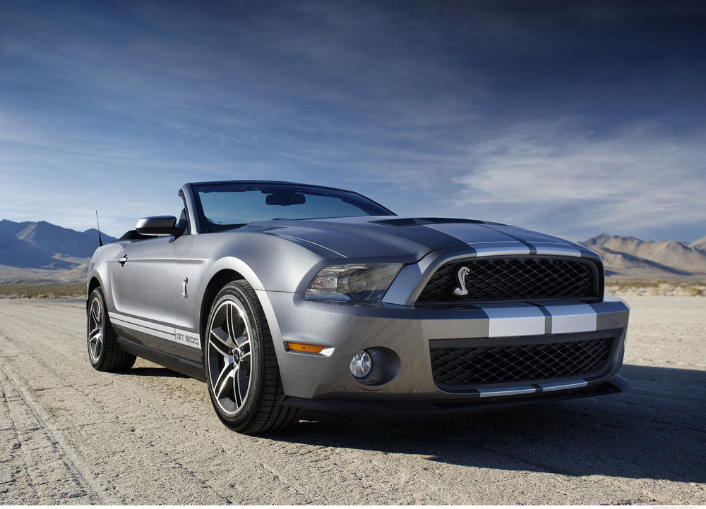 2010 Shelby GT500 0003-5846