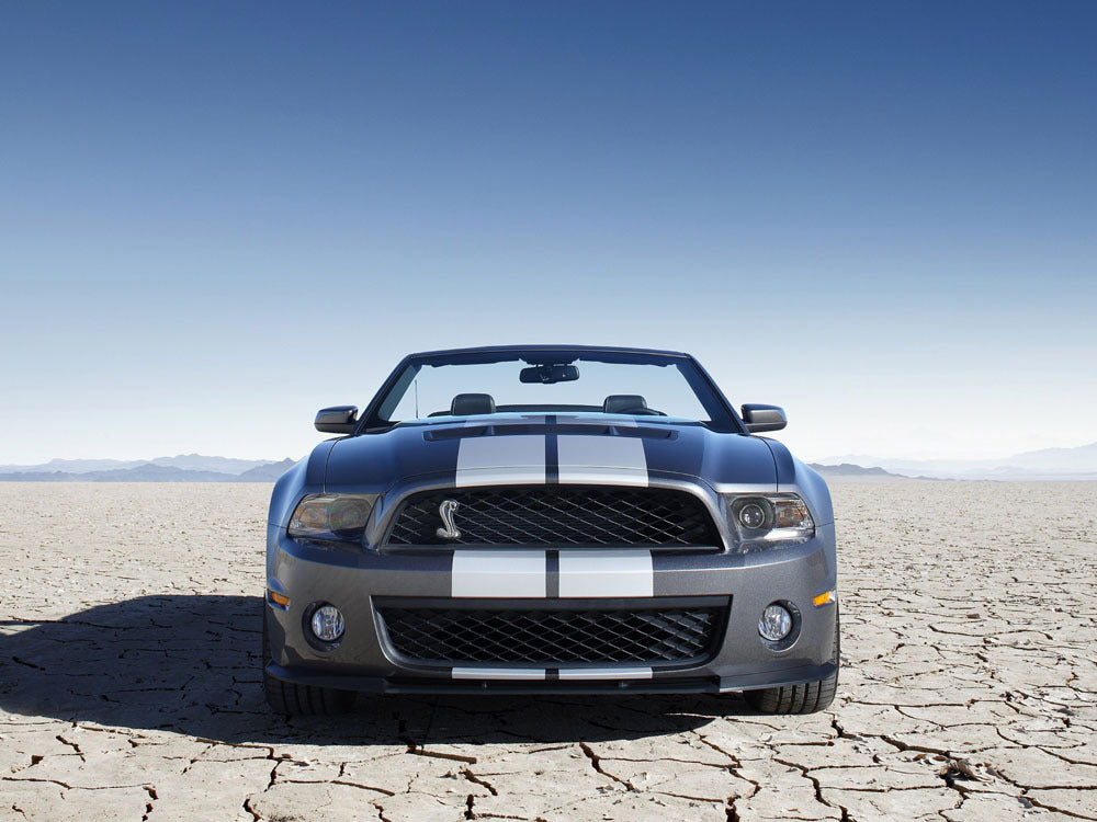 2010 Shelby GT500 0003-5847