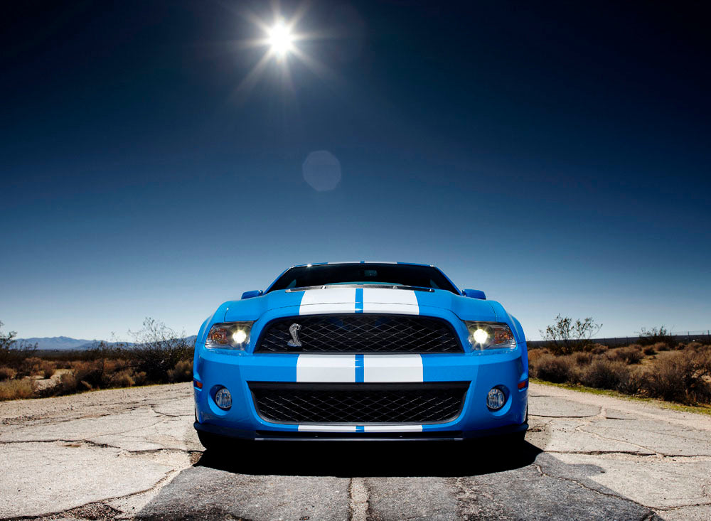 2010 Shelby GT500 0003-5853