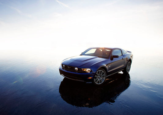 2010 Ford Mustang 0003-5936