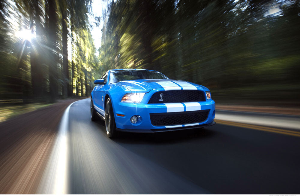 2010 Shelby GT500 0003-5942