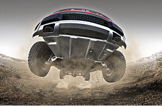 2010 F-150 Raptor 0003-6045