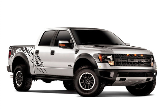 2011 F-150 Raptor 0003-6900