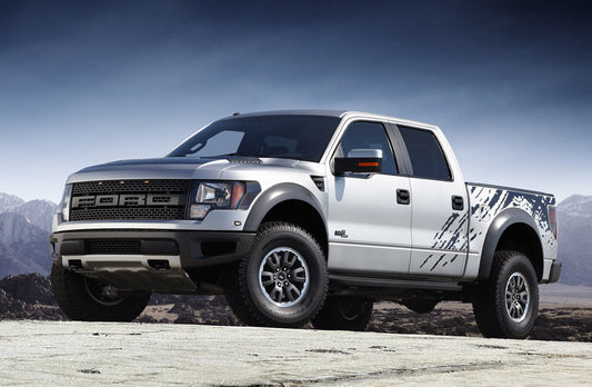 2011 F-150 Raptor 0003-6902