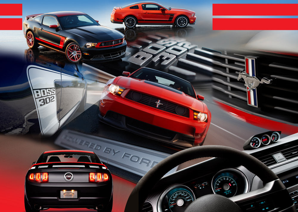 2012 Mustang Boss 302 0003-6920