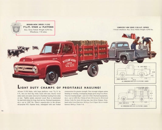 1953 Ford F-250 Express and Stake 0053-0007