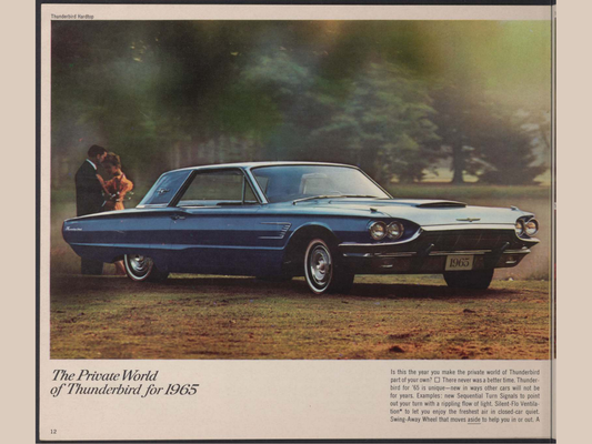 1965 Ford Car Lineup Brochure Page 12 0065-0044 — 18×24 proportions
