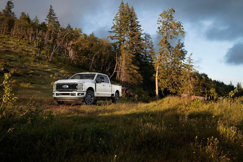 2024 FORD FSD 58941 LAR SPORT 350 v2 0144-0252