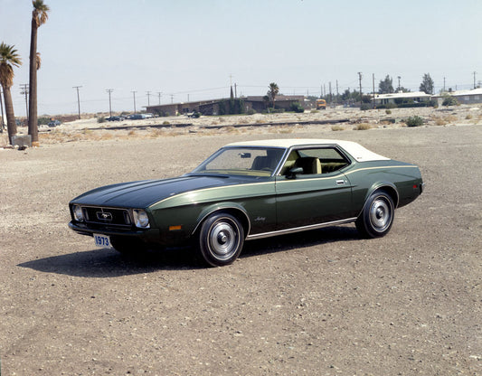 1973 Ford Mustang Grande coupe neg CN6603 48 0144-1227