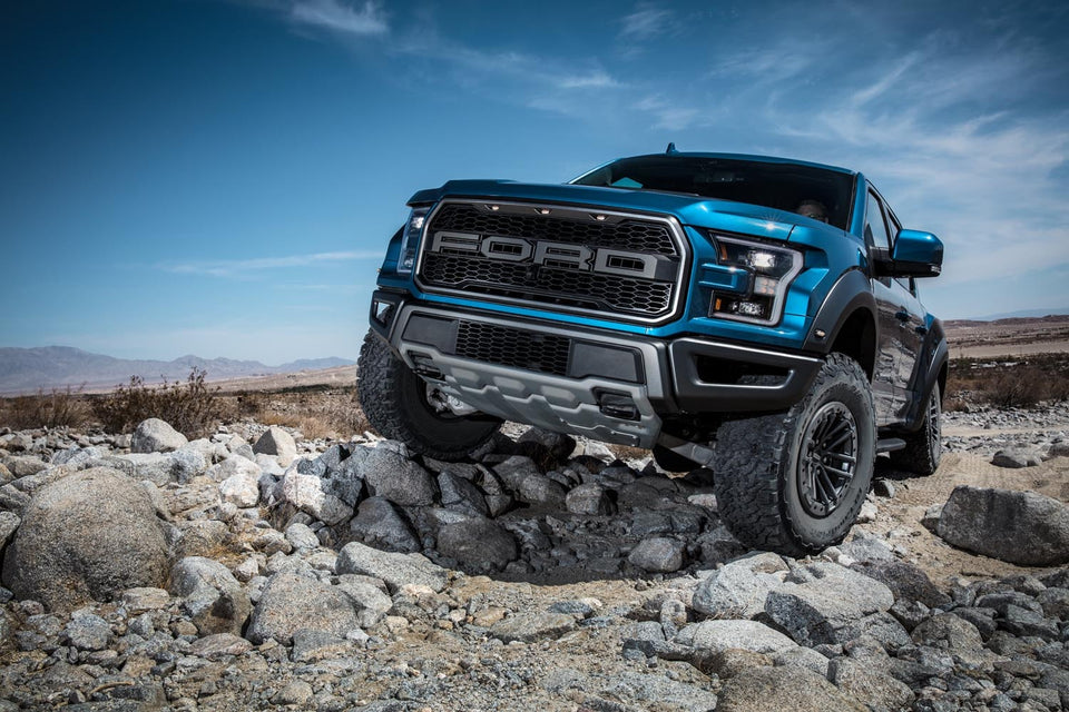 2019Raptor 3U0A0238 C1  0144-2035