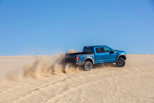 2019Raptor 3U0A3535 0144-2036