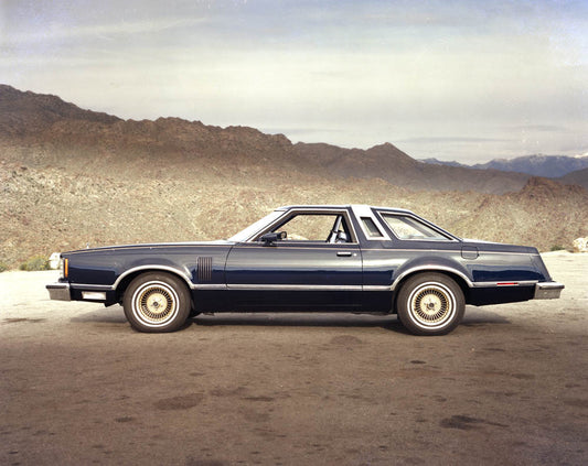 1979 Ford Thunderbird  CN26005-012 0144-3145