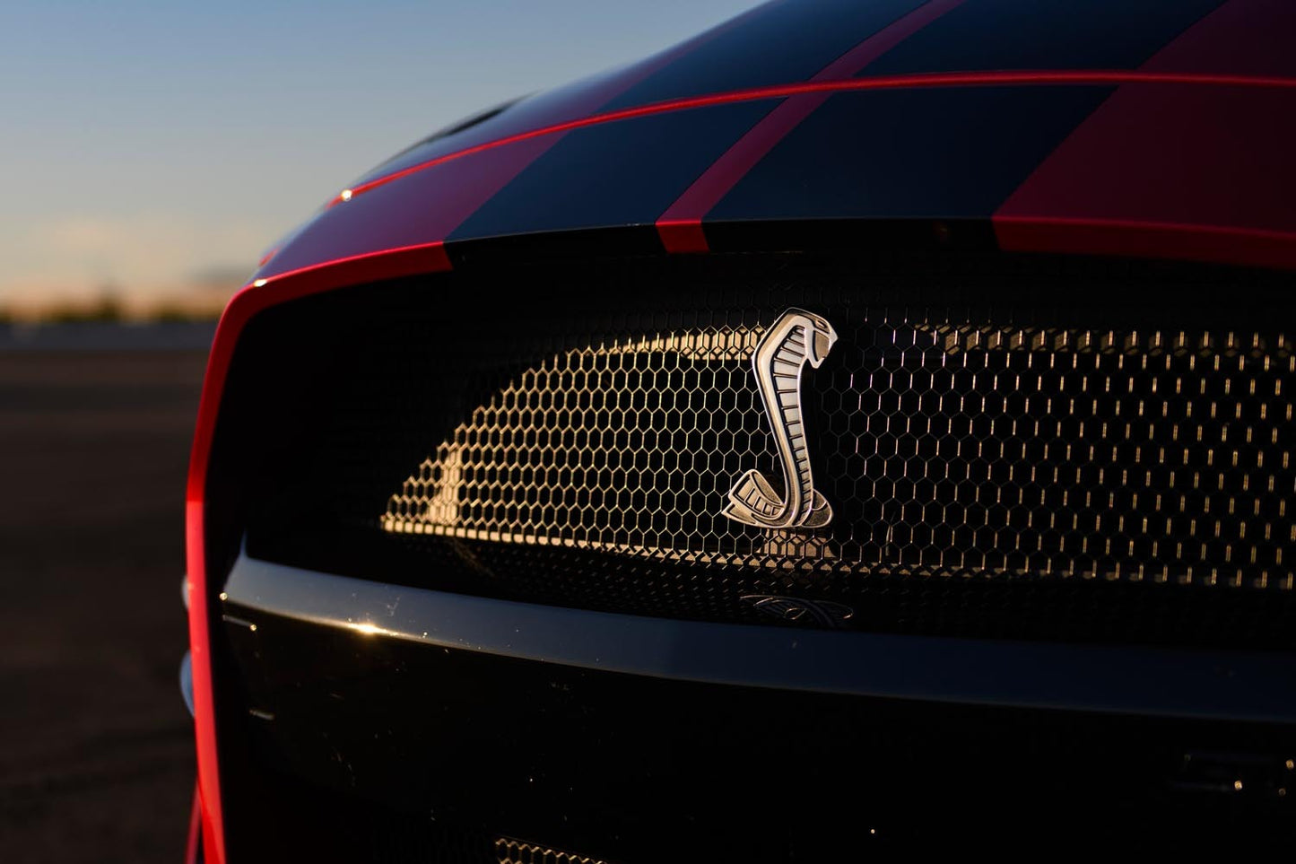 2020 Mustang Shelby GT500 0144-4787