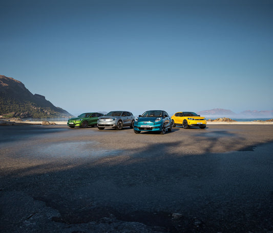 2025 Go Electric Line Up  0144-5281