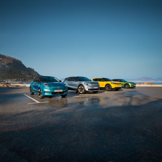 2025 Go Electric Line Up  0144-5282