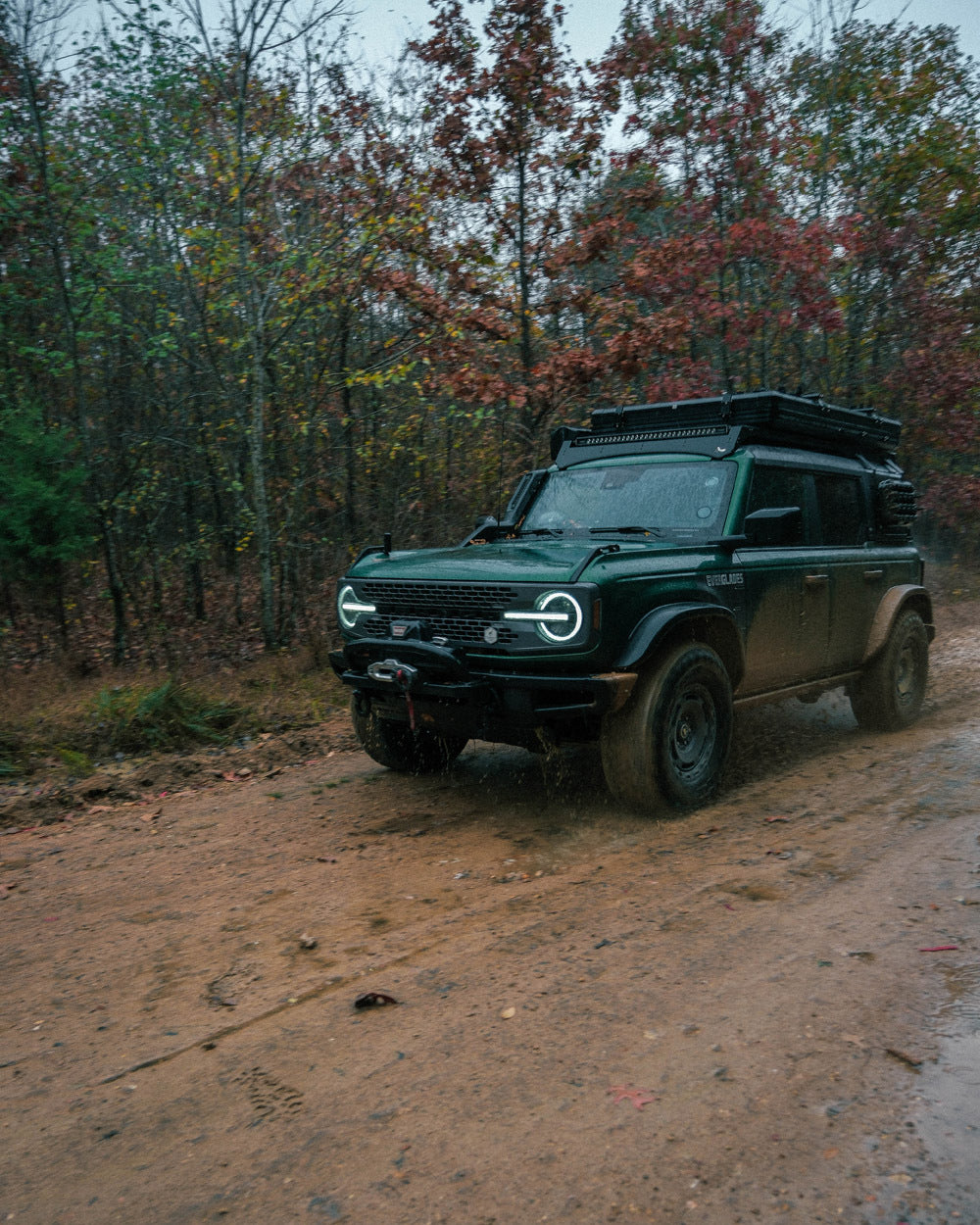 2024 Ford Bronco Everglades   0244-0012