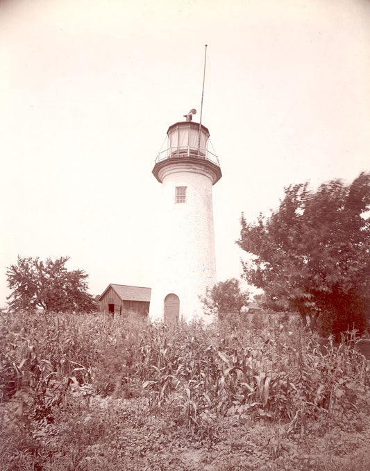 Bois Blanc Park 1905 0400-0662