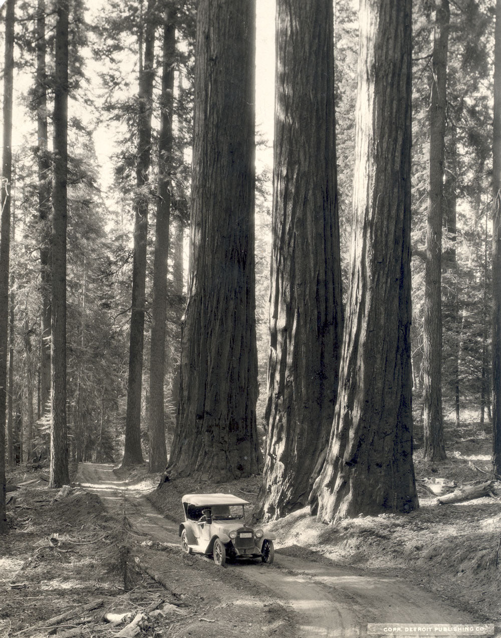 Sequoia National Park 1922 0400-0669