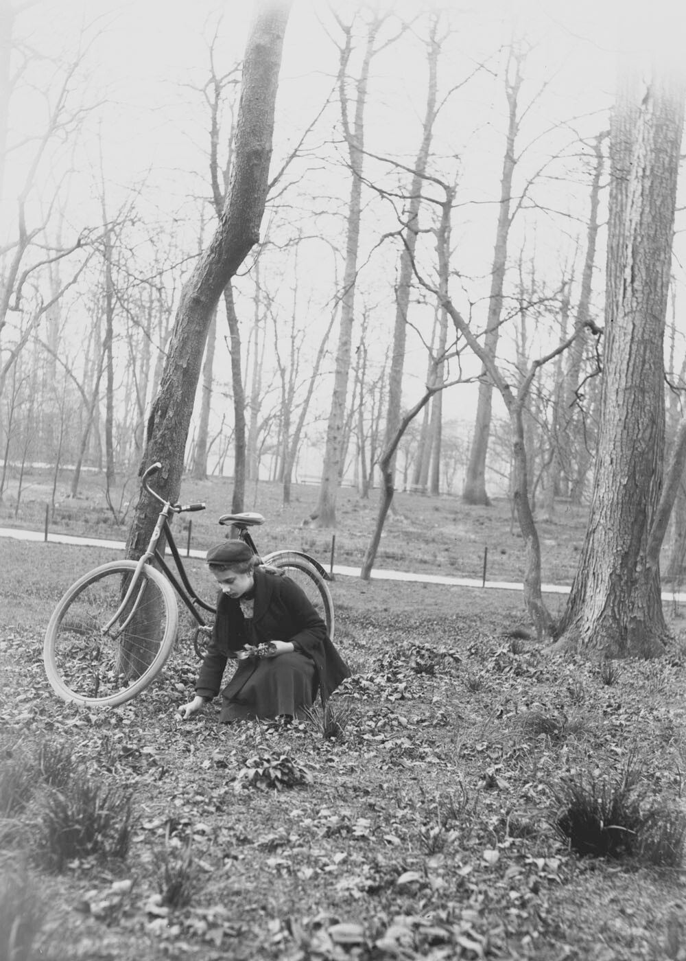 Woman Picking Flowers Prospect Park New York 1890 1910 0400-0942
