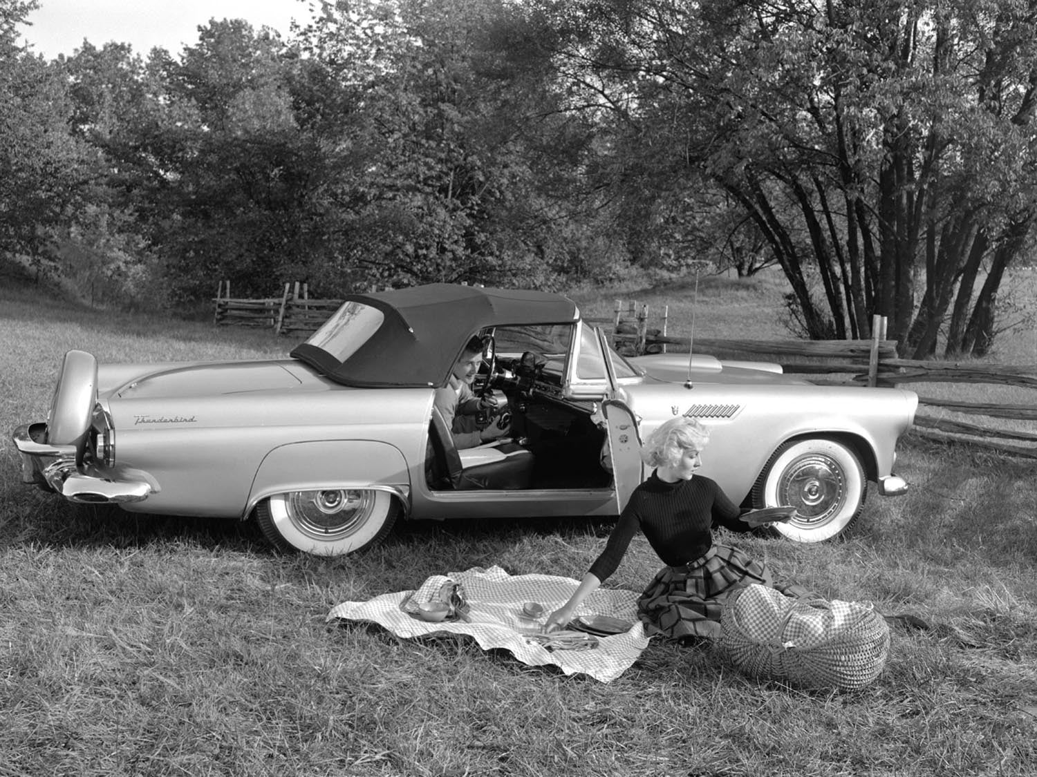 1956 Ford Thunderbird 0400-8410
